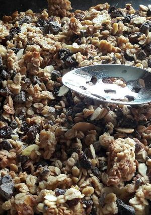 A picture of Homemade chocolate granola.