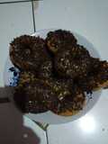 Donat sp