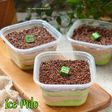 (IDE BAKULAN) Ice Milo Dessert Box