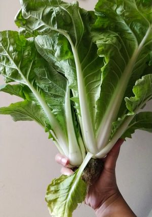 Foto resep Tumis samhong