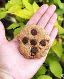Chocochips cookies organic
