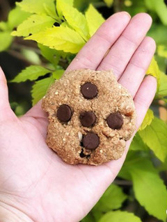 Una foto de Chocochips cookies organic