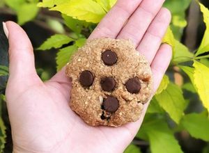 Una foto de Chocochips cookies organic