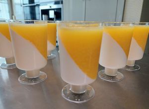 Zdjęcie przepisu Panna cotta z musem mango.