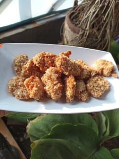 Foto resep Ayam Goreng Oat (Crispy)