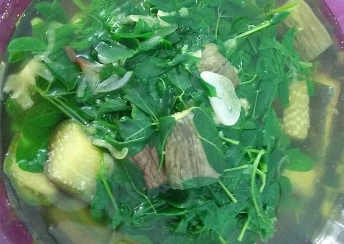 Resep Sayur Bening Daun Kelor Dan Terong Oleh Sukma Febriyanto Cookpad