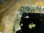 Una foto de hoja de brócoli