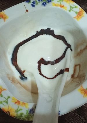 A picture of Vanilla Ice cream(with chocolate syrup).