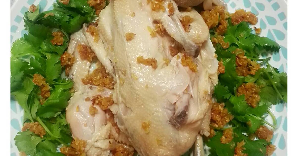  Resep Ayam Rebus  Pek Cam Kee oleh Anastasia Aileen Cookpad