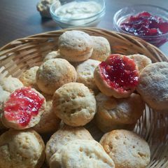 German mini scones A picture of German mini scones.