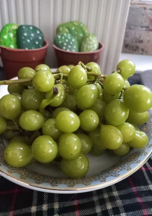 عکسی از دستور غوره شور
