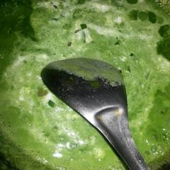 A picture of Spinach sauce(pasta).