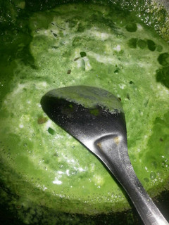 A picture of Spinach sauce(pasta).