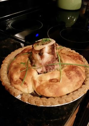 A picture of Brad's bison pie.