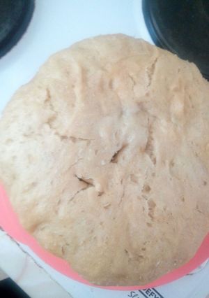 A picture of Dumpling/ idombolo.