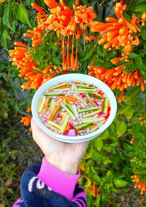 Foto resep Acar Timun Wortel Lobak