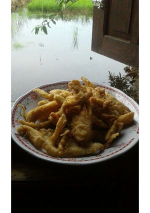 Foto resep Jamur tiram krispi