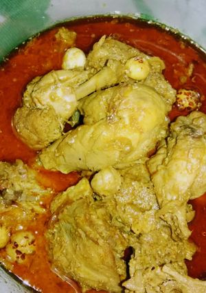 A picture of Chicken korma.