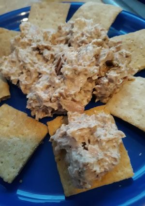 A picture of Snack Cracker and Dip.