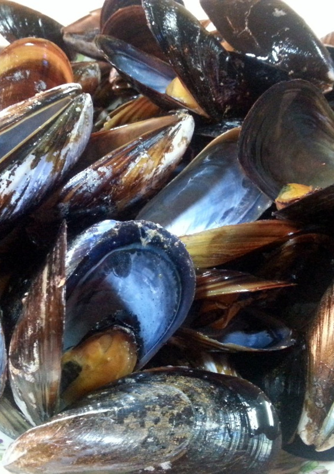 Una foto de Mejillones al Vapor "En Su Jugo"