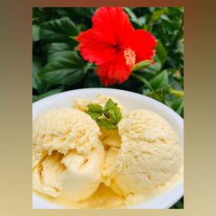A picture of Mango Ice cream! 🍦.