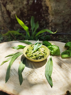 Foto di Pesto di piantagine