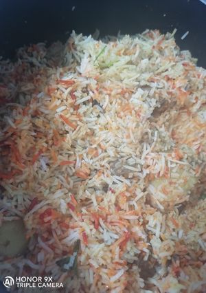 A picture of Sindhi Biryani.