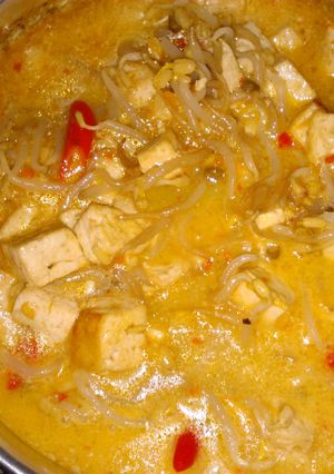 Foto resep Sayur Toge Tahu Kuah Santan