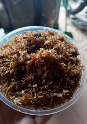 Foto resep Abon Ikan Tuna