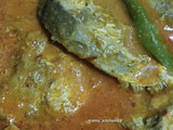 Gulai Ikan Tongkol Nasi Dagang Terengganu
