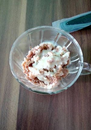 Foto resep Es Krim Coklat (no sp, no whipecream, no telur)