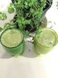 Batido de coco tierno con menta dulce (Smoothie)