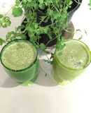 Batido de coco tierno con menta dulce (Smoothie)