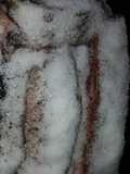 Costilla de novillo a la sal gruesa y especias