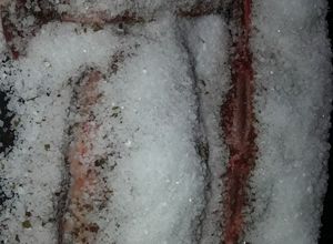 Una foto de Costilla de novillo a la sal gruesa y especias