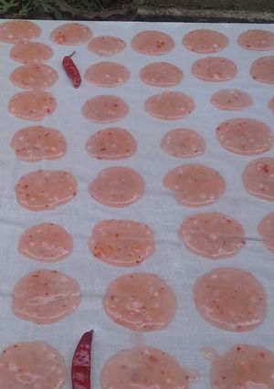 A picture of Tomato Vadam.