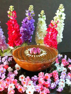 عکسی از دستور سمنو خانگی