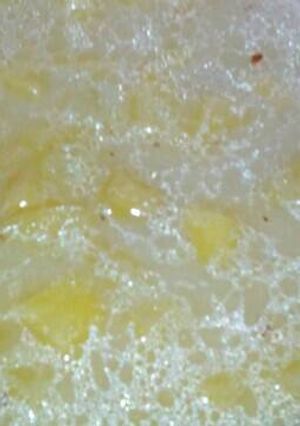 Foto resep Sup kentang putih