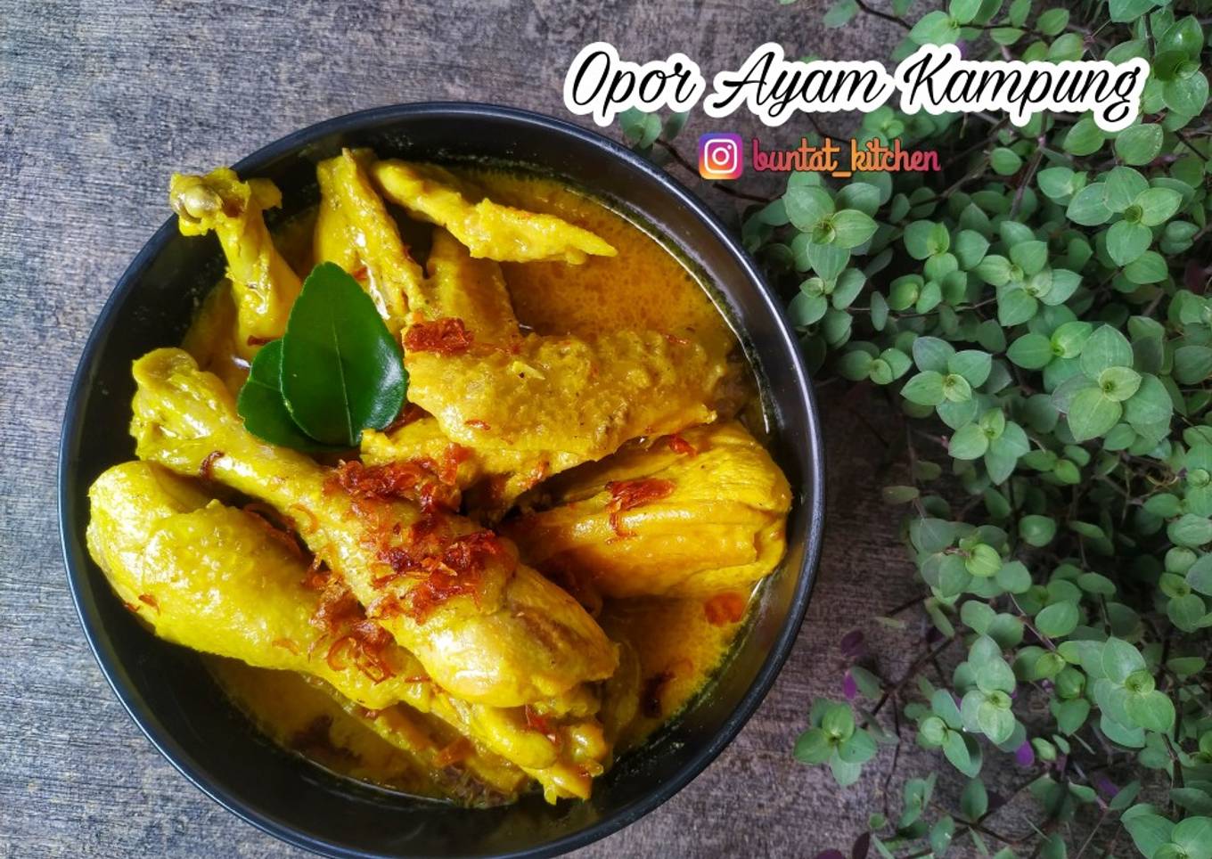 Opor Ayam Kampung