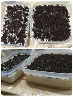 Foto resep Cheese cake oreo sederhana