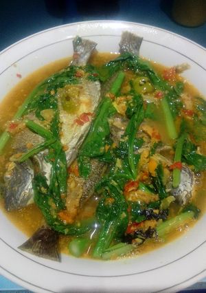 Foto resep Ikan Baronang kuah kuning caisim
