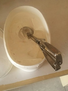 A picture of Home made Vanilla ice cream.