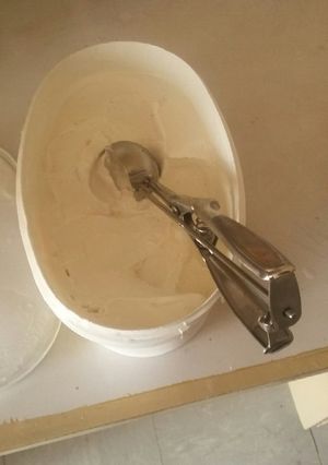 A picture of Home made Vanilla ice cream.