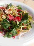 Ensalada variedad