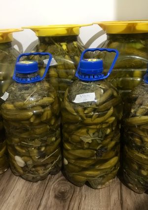 عکسی از دستور خیار شور با فرمول ۱۷:۱:۱ 🥒