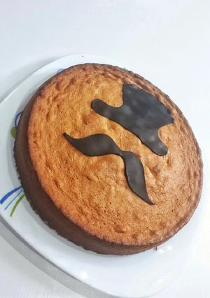 عکسی از دستور کیک رژیمی