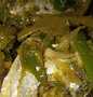 Resep Ikan kembung sambal hijau Anti Gagal