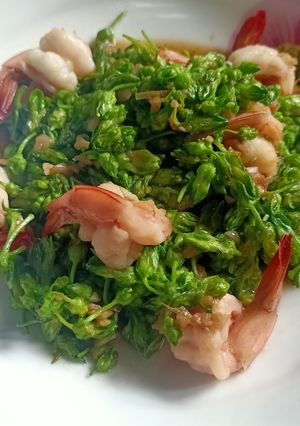 รูปของ ผัดกุ้งดอกสลิด