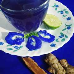 Butterfly Pea Flower Ginger Tea-レシピのメイン写真