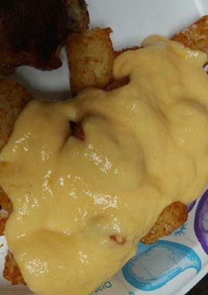 A picture of Cheesy Tots.